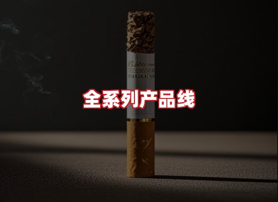 专业团队